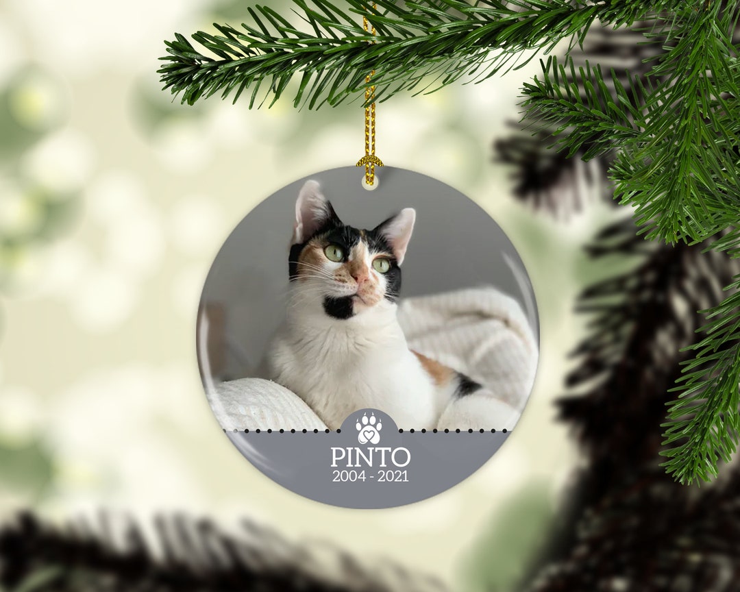 Cat Memorial Picture Ornament | Loss of Pet Gift | Cat Remembrance | in ...