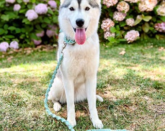 Handmade macrame dog leash
