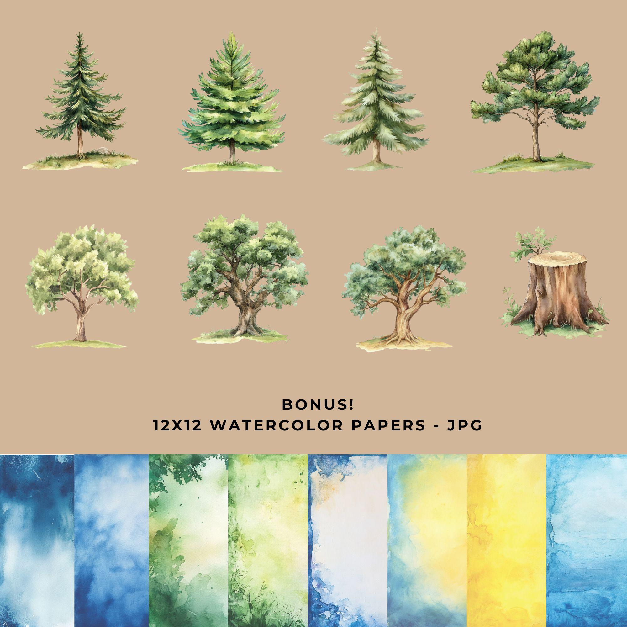Whimsical Woodland Animals Clipart - Cute Forest Creatures - Digital ...
