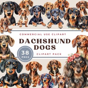 May include: A digital clipart pack of 38 watercolour illustrations of Dachshund dogs in various poses and colours. The text "COMMERCIAL USE CLIPART DACHSHUND DOGS 38 PNGS CLIPART PACK" is displayed on a white background.
