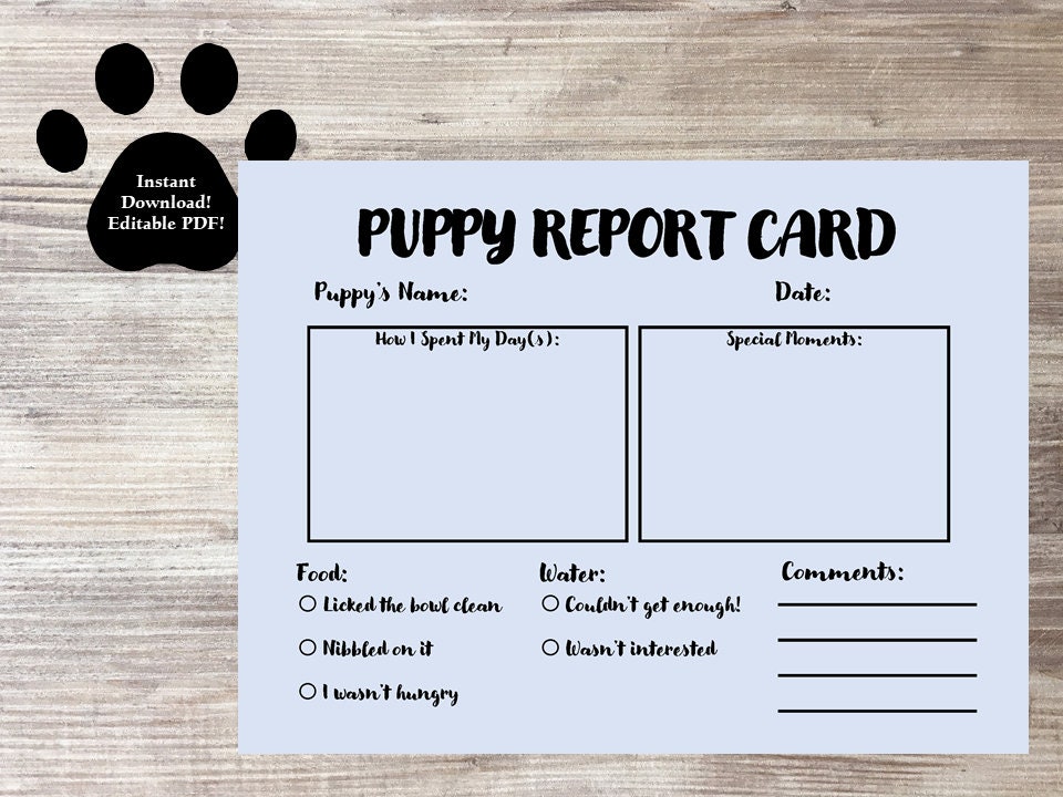 Puppy Day Care Report Card - Etsy