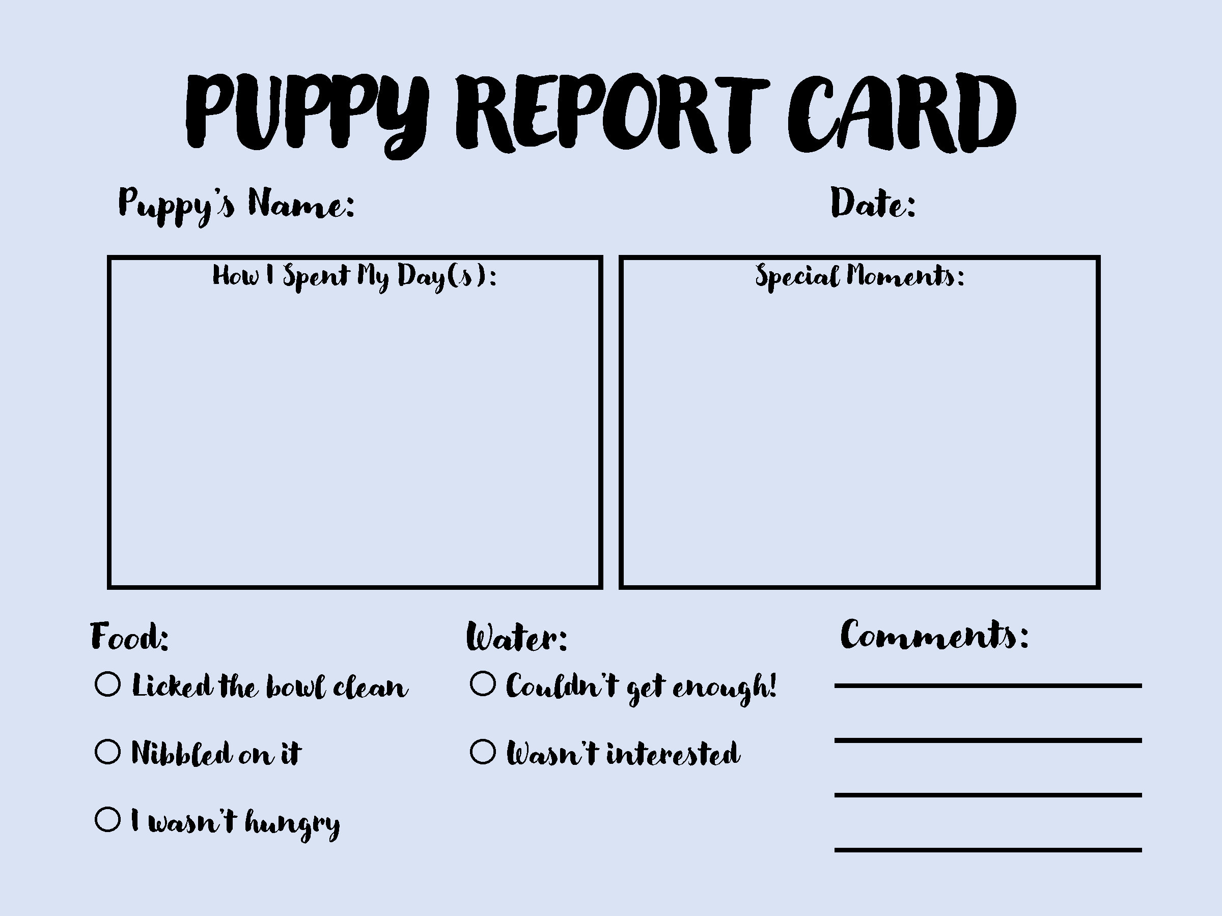 Puppy Day Care Report Card Etsy