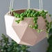 see more listings in the Hanging Planters section