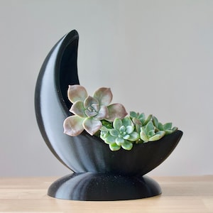 Crescent Moon Succulent Planter: Witchy Cottagecore Decor (3D Printed)