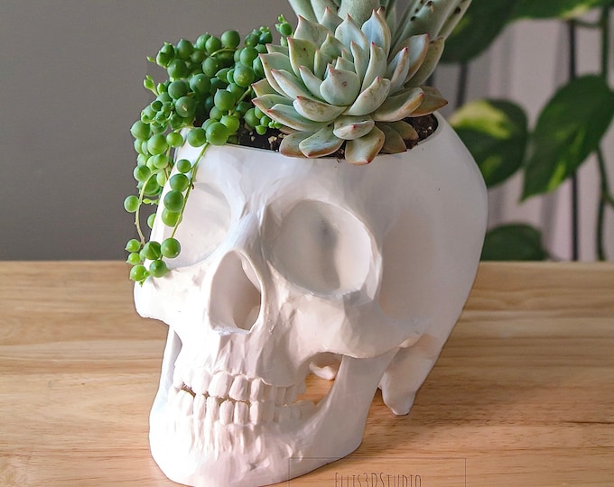 3D Printed Skull Planter: Goth Home & Halloween Decor