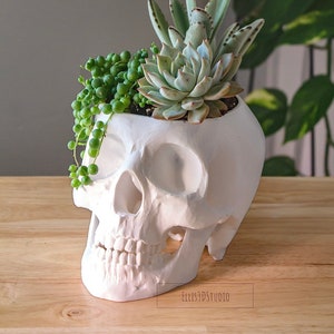 Plantador de cráneos / Impreso en 3D / Réplica de cráneo humano / Decoración gótica / Olla de cráneo / Decoración de brujas / Plantador espeluznante / Decoración de Halloween