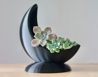May include: A black crescent moon-shaped planter with a succulent plant inside. The planter is made of a smooth, glossy material and has a wide base.