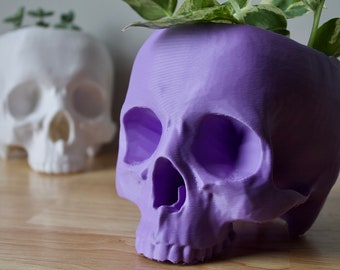 3D Printed Skull Planter: Eco-Friendly Halloween Decor