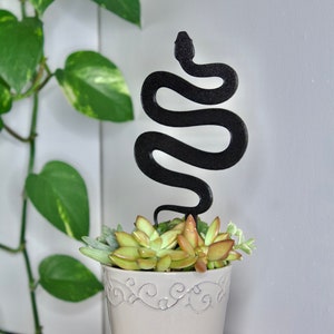 May include: A black metal snake silhouette plant stake in a white ceramic pot with succulents. The pot has a decorative design around the top.