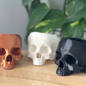 May include: Three 3D printed skull planters in different colors: copper, white, and black. The planters are made to look like human skulls and have a hollowed-out top for planting.