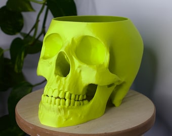 New Colors - Poison | Skull Planter | Indoor Planter Pot | Human Skull Replica | Skull Pot | 3D Printed