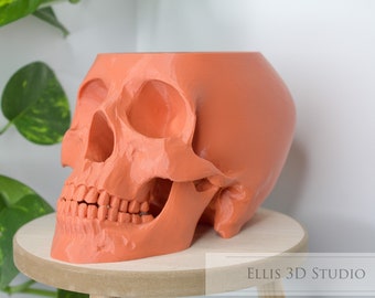 Coral Skull Planter: 3D Printed Anatomical Skull Pot