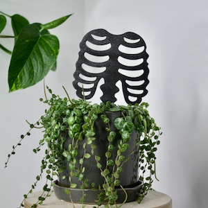 May include: A potted plant with trailing vines and a black ribcage-shaped plant stake. The plant is in a gray pot and is sitting on a wooden stool.