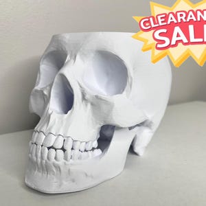 May include: A white skull-shaped decorative object. The skull has detailed features, including eye sockets, a nasal cavity, and teeth. A yellow and red "CLEARANCE SALE" sticker is visible in the upper right corner.