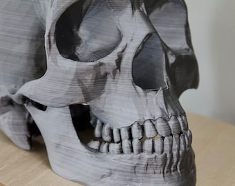 New Colors - Smoke | Skull Planter | Human Skull Replica | 3D Printed | Succulent Planter | Indoor Planter | Eco Friendly