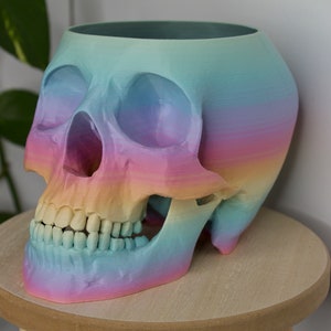 New Colors - Pastel Rainbow | Skull Planter | Human Skull Replica | 3D Printed | Succulent Planter | Indoor Planter | Eco Friendly