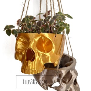 Hanging Skull Planter Small Hanging Pot Halloween Decor Succulent Planter Trailing Succulent Planter Eco Friendly 3D Printed image 5