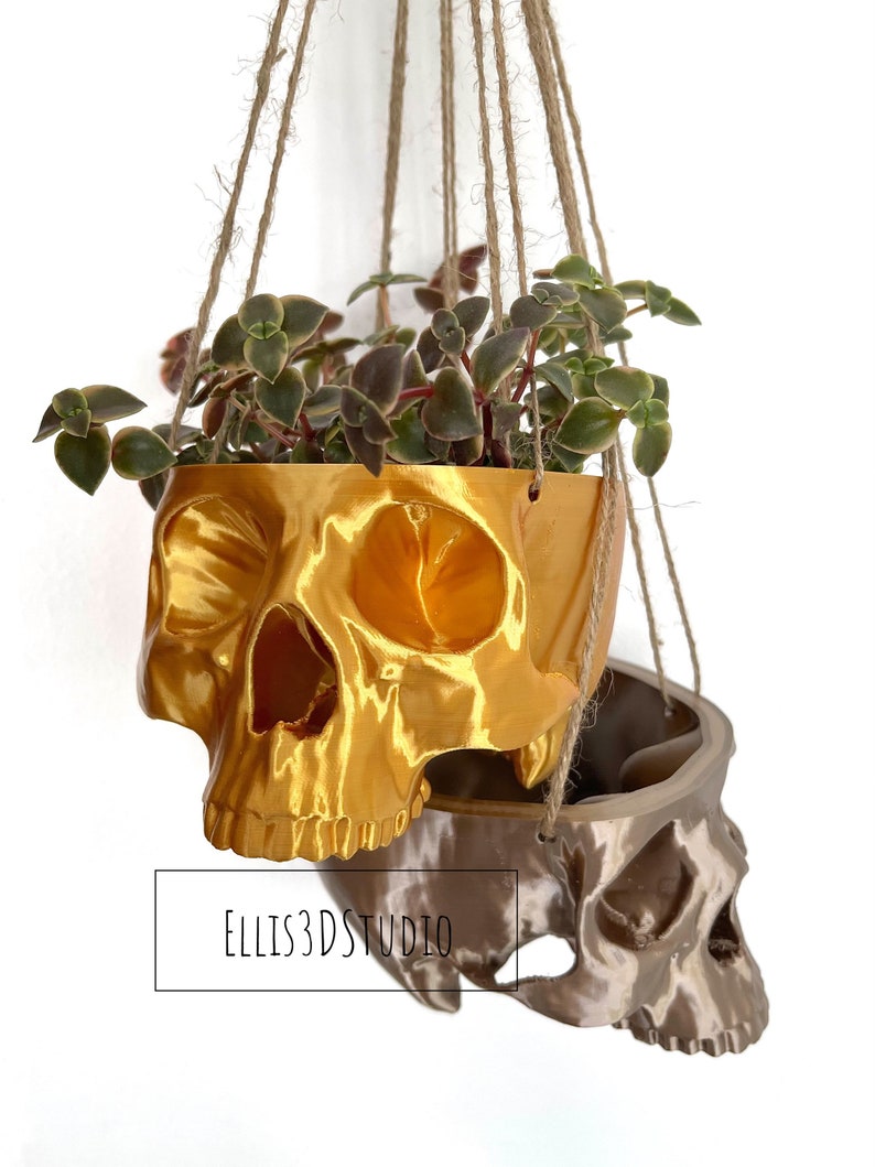 Hanging Skull Planter Small Hanging Pot Halloween Decor Succulent Planter Trailing Succulent Planter Eco Friendly 3D Printed image 5