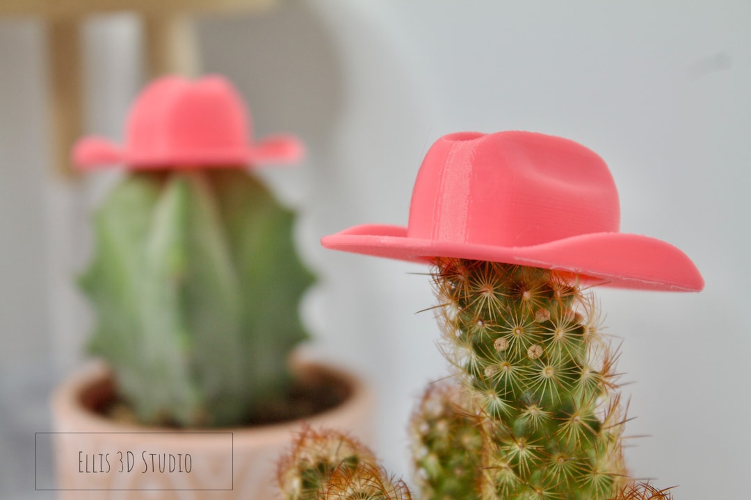 3D Printed Tiny Plant Cowboy Hat: Cactus Accessory