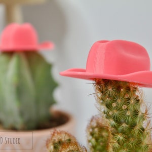 May include: Two small cactus plants with pink cowboy hats on top. The cactus plants are in terracotta pots. The text "Ellis 3D Studio" is visible at the bottom of the image.