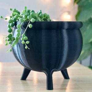 Cauldron Planter | 3D Printed | Witchy Decor | Succulent & Cactus Pot | Cottagecore | Gothic | Halloween Pot