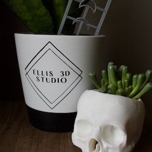May include: A white ceramic skull planter with a green succulent plant inside. The skull planter is sitting on a wooden surface next to a white planter with a black base. The white planter has a black diamond shape with the text "ELLIS 3D STUDIO" inside.