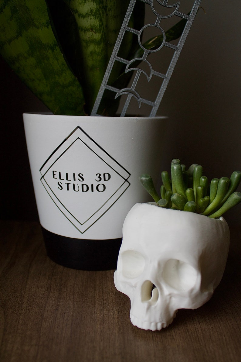 May include: A white ceramic skull planter with a green succulent plant inside. The skull planter is sitting on a wooden surface next to a white planter with a black base. The white planter has a black diamond shape with the text "ELLIS 3D STUDIO" inside.