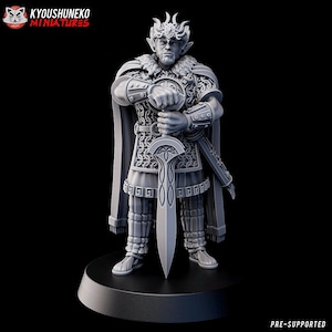 Gälischer Waldelfenkönig | Keltische Elfen | Tabletop RPG DnD Fantasy Elfen Miniaturen | DnD Fantasy Elfen | Elfenkriegerin | Kyoushuneko | Elfe |