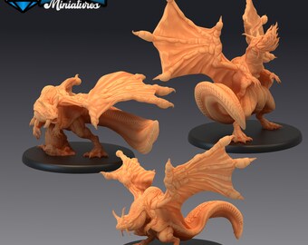 Kikkerdraak | Dungeons and Dragons-miniaturen op 28 mm voor tabletop gaming | Wargaming-fantasieminiaturen | 3D-geprint | Draken