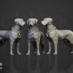 War Hound | Tabletop D&D Roleplaying Wargaming Fantasy Miniatures | Witch Hunter Dogs | Inquisitorial Band | Warband | Dogs Hound | Beast