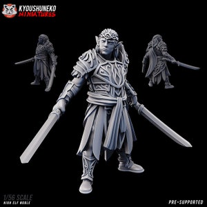 Elfe edel mit Schwertern | Tabletop RPG D&D Fantasy Kriegerin Elfe Kämpfer Miniatur | -Infanterie Elfenkrieger | Kyoushuneko | Elfe | Elfen