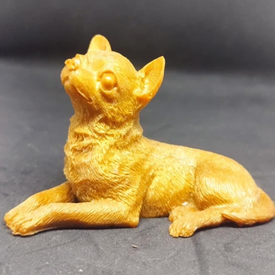 Chien Chihuahua qui bouge la tête - Auto