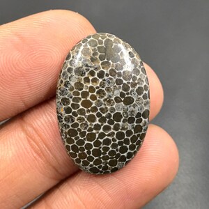 Stingray Fossil Coral Cabochon... Oval Cabochon...27x18x4 mm...17 Cts...A#K5007