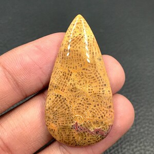 Fossil Coral Cabochon...Pear Cabochon...43x23x5mm...35Cts...#i7936