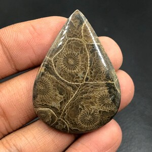 Moroccan Fossil Coral Cabochon...Pear Cabochon...42x30x6 mm...54 Cts...A#K958