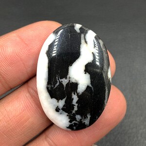 May include: A smooth, oval-shaped cabochon with a black and white marbled pattern. The stone has a high polish and is a natural gemstone.