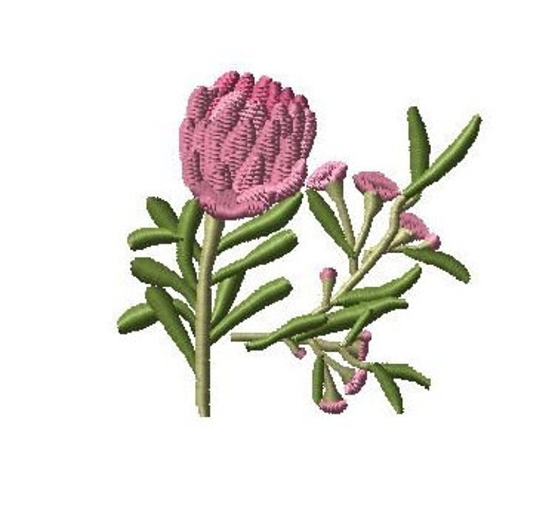 Protea Flower Plant Machine Embroidery Design for Kids Decor Etsy