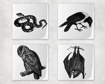 Vintage Animal Coaster Set, Crow, Snake, Bat, Owl, Ceramic or Neoprene