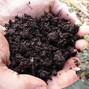 May include: A close-up of hands holding a dark, rich soil. The soil is a deep brown color and appears moist, with a slightly textured surface. The image suggests gardening or agricultural themes.