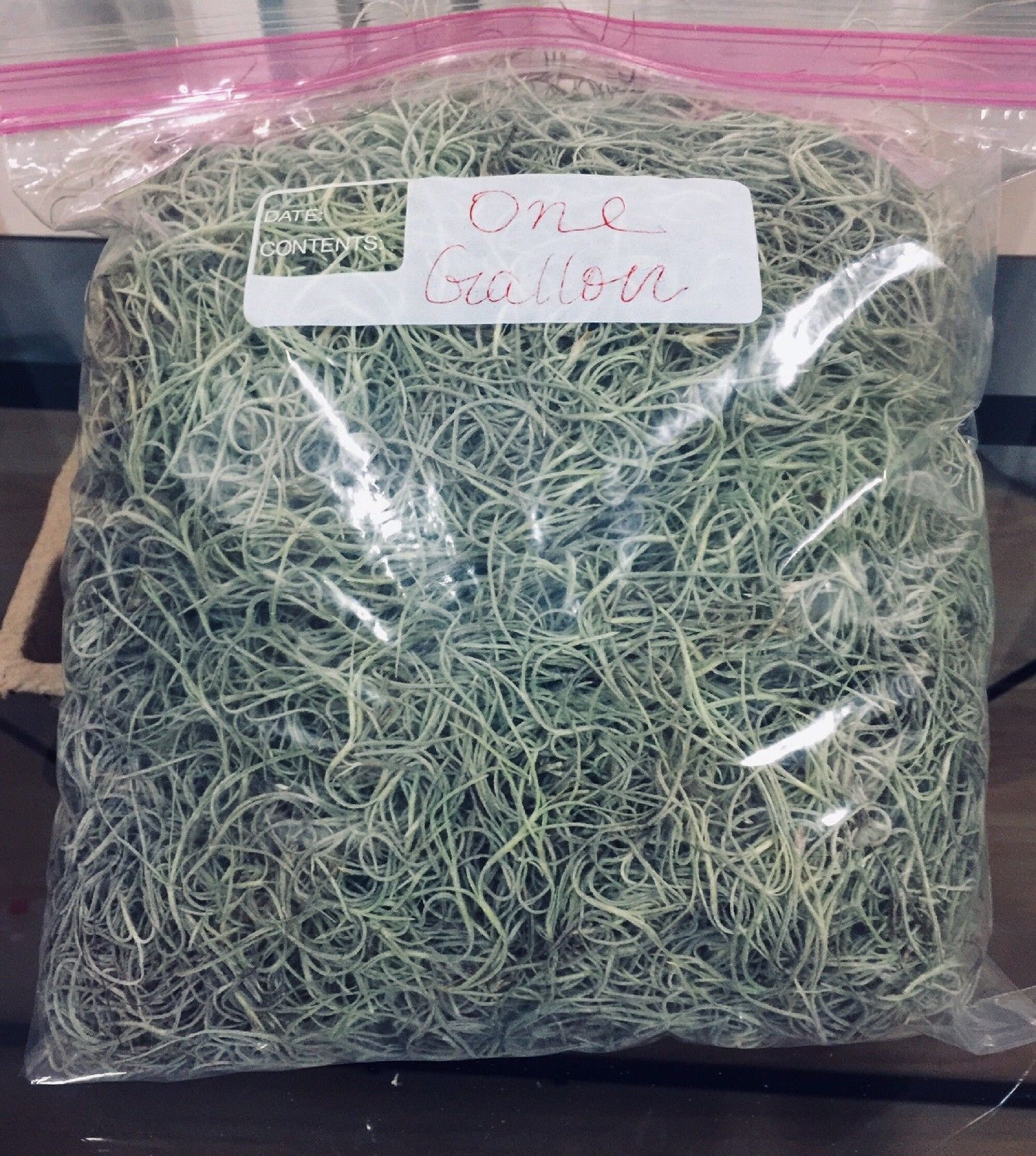 Large Bag Full of Dried Spanish Moss...free SHIPPING Etsy