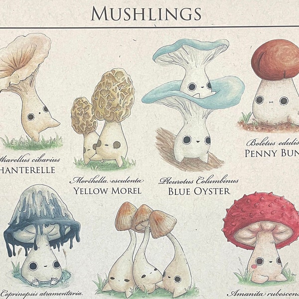 Mushling Identification Print - Mushroom Botanical Fine Art Giclée Poster