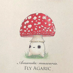 Fly Agaric Mushling Print - Fine Art Giclée Mushroom Print