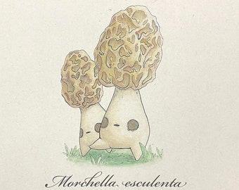 Morel Mushling Print - Fine Art Giclée Mushroom Print