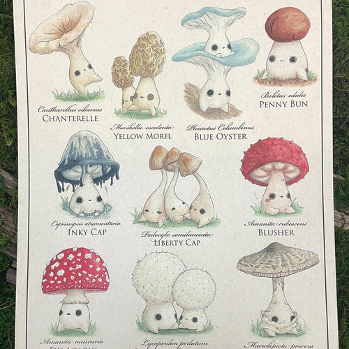 Tree Identification Fine Art Print Giclée Botanical Fine Art Etsy