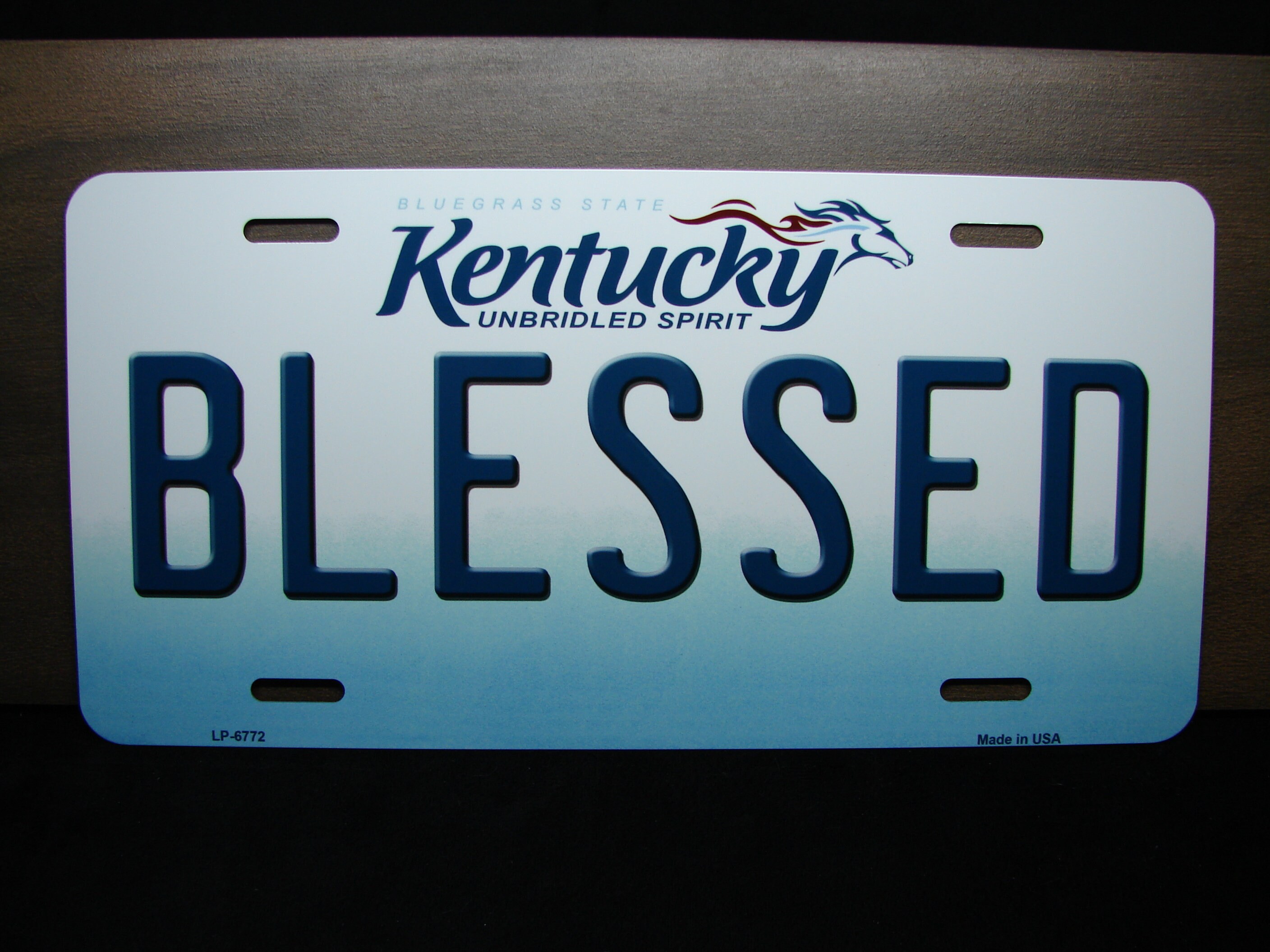 BLESSED KENTUCKY State License Plate Metal Novelty Car License Etsy