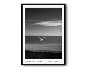 UK Photography, Digital , Black and White Prints, Unique Wall Art Print, Brighton Travel Print, Minimalist Print, Downloadable Bird Prints
