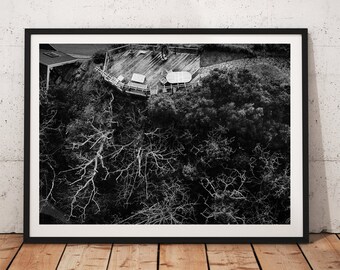 Forest Print,Black and White Forest Wall Art,Black and White Forest Landscape,Nature Print,Nature Wall Art,Pine Tree Wall Art,Home Decor