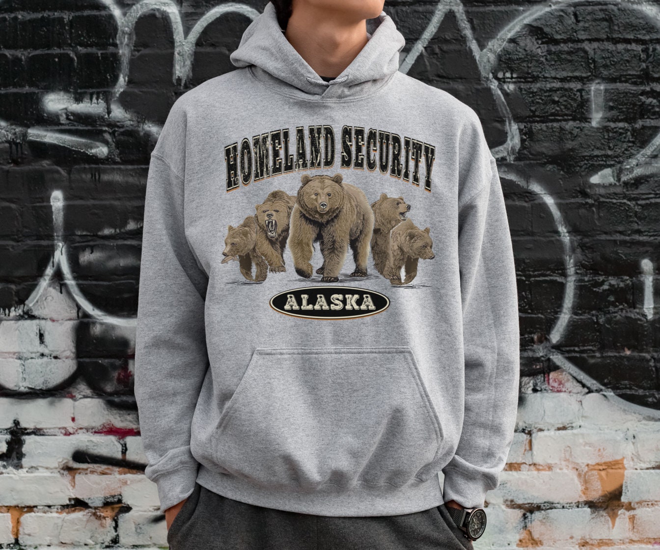 Alaska Homeland Security Grizzly Bear Hoodie, Alaska Hooded