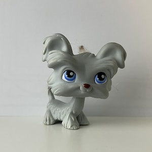 LPS Littlest Pet Shop Hund Shih Tzu #227