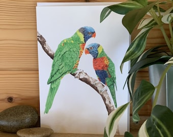 Rainbow Parakeets Greetings Card